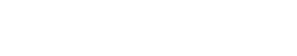 Roi Pelé New